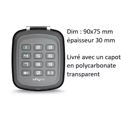 GGP clavier radio whypad