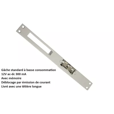 GOLMAR 12V basse conso TCV24/UNI standard