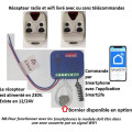 GGP-RADIO-WIFI 230V module récepteur 230V, 2 relais livré avec ou sans 2 télécommandes