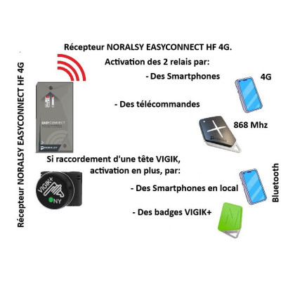 NORALSY Récepteur EASYCONNECT HF 4G 2 relais, activation par Smartphones ou par des télécommandes ou des badges