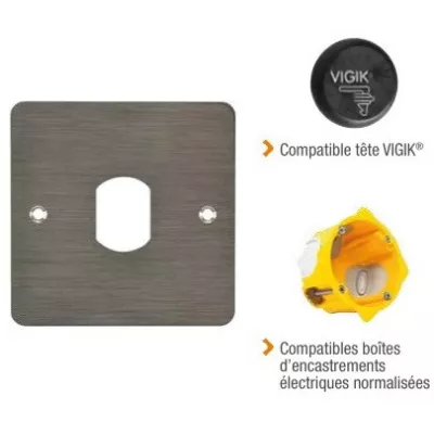 IZYX SSP225VGK plaque Inox avec découpe T25 pour recevoir une tête de lecture de badge