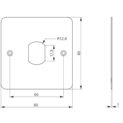 IZYX SSP225VGK plaque Inox avec découpe T25 pour recevoir une tête de lecture de badge